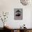 Strangelove-David Brodsky-Mounted Art Print displayed on a wall