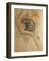 Stranger's Monkey-Joseph Wolf-Framed Giclee Print