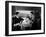 Strangers on a Train, 1951-null-Framed Photographic Print