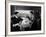 Strangers on a Train, 1951-null-Framed Photographic Print