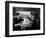 Strangers on a Train, 1951-null-Framed Photographic Print