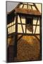 Strasbourg, Alsace, France-Michael Busselle-Mounted Photographic Print