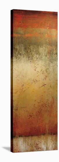 Strata Six-Jeannie Sellmer-Stretched Canvas