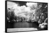 Stratford Pond II-Alan Hausenflock-Framed Stretched Canvas