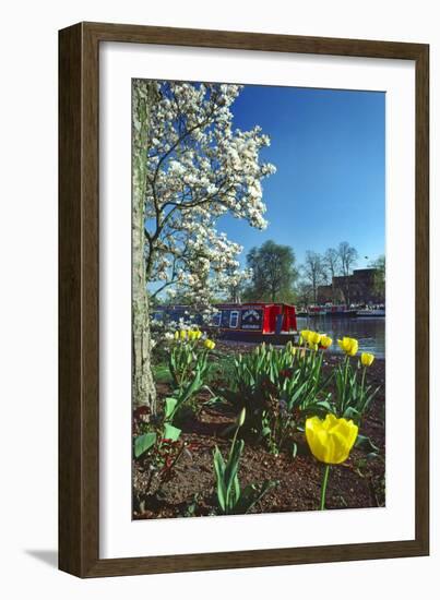 Stratford Spring Flowers-Charles Bowman-Framed Photographic Print