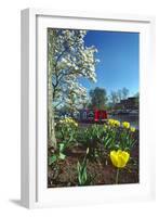 Stratford Spring Flowers-Charles Bowman-Framed Photographic Print