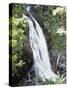 Strathcona Provincial Park, Vancouver Island, Upper Myra Falls-Christopher Talbot Frank-Stretched Canvas