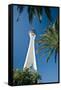 Stratosphere Tower, Las Vegas, Nevada, United States of America, North America-Ben Pipe-Framed Stretched Canvas