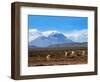 Stratovolcano El Misti Arequipa Peru-xura-Framed Photographic Print