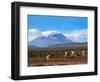 Stratovolcano El Misti Arequipa Peru-xura-Framed Photographic Print