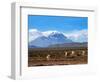 Stratovolcano El Misti Arequipa Peru-xura-Framed Photographic Print