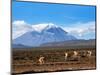 Stratovolcano El Misti Arequipa Peru-xura-Mounted Photographic Print