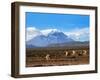 Stratovolcano El Misti Arequipa Peru-xura-Framed Photographic Print