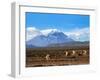 Stratovolcano El Misti Arequipa Peru-xura-Framed Photographic Print