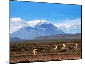 Stratovolcano El Misti Arequipa Peru-xura-Mounted Photographic Print