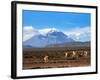 Stratovolcano El Misti Arequipa Peru-xura-Framed Photographic Print