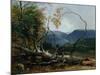 Stratton Notch, Vermont, 1853-Asher Brown Durand-Mounted Giclee Print