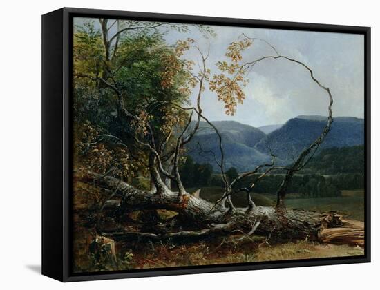 Stratton Notch, Vermont, 1853-Asher Brown Durand-Framed Stretched Canvas