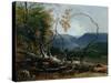 Stratton Notch, Vermont, 1853-Asher Brown Durand-Stretched Canvas