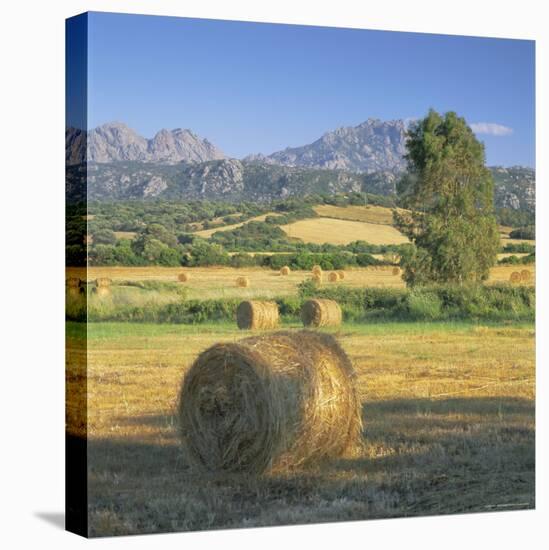 Straw Bales in Fields, Sardinia, Italy, Europe-John Miller-Stretched Canvas