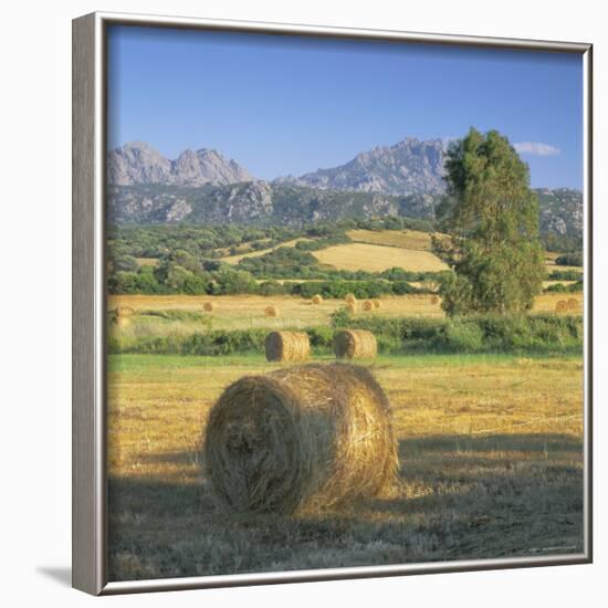 Straw Bales in Fields, Sardinia, Italy, Europe-John Miller-Framed Photographic Print