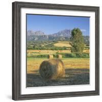 Straw Bales in Fields, Sardinia, Italy, Europe-John Miller-Framed Photographic Print