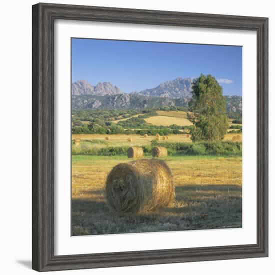 Straw Bales in Fields, Sardinia, Italy, Europe-John Miller-Framed Photographic Print