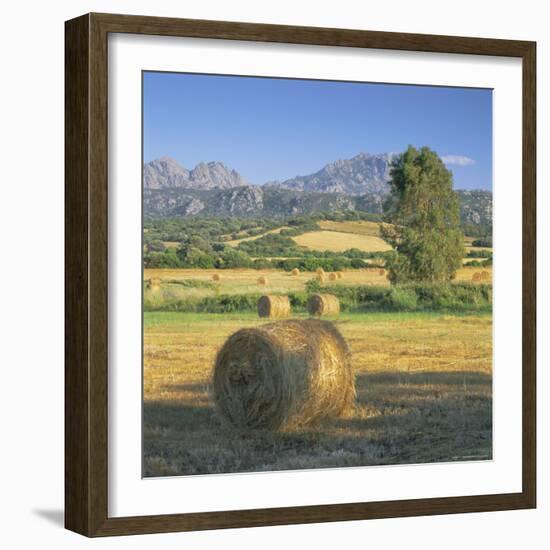 Straw Bales in Fields, Sardinia, Italy, Europe-John Miller-Framed Photographic Print