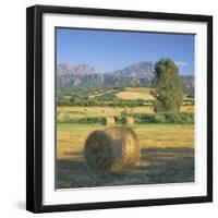 Straw Bales in Fields, Sardinia, Italy, Europe-John Miller-Framed Photographic Print