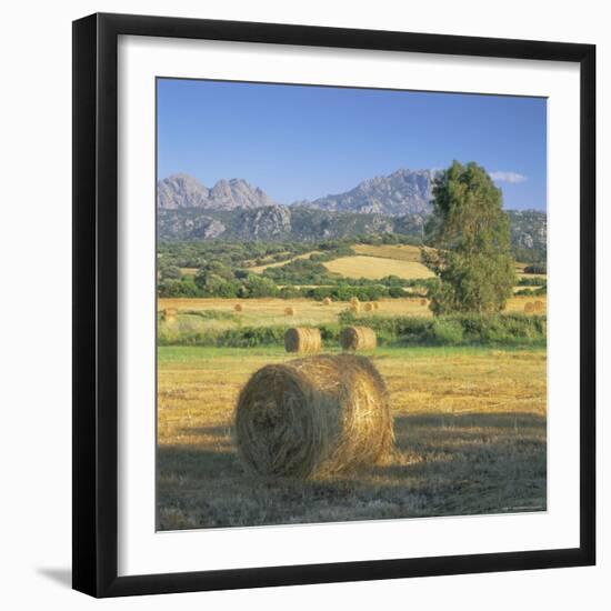 Straw Bales in Fields, Sardinia, Italy, Europe-John Miller-Framed Photographic Print