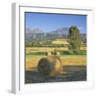Straw Bales in Fields, Sardinia, Italy, Europe-John Miller-Framed Photographic Print