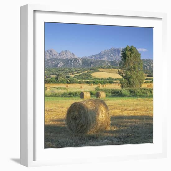 Straw Bales in Fields, Sardinia, Italy, Europe-John Miller-Framed Photographic Print