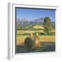 Straw Bales in Fields, Sardinia, Italy, Europe-John Miller-Framed Photographic Print