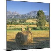 Straw Bales in Fields, Sardinia, Italy, Europe-John Miller-Mounted Photographic Print