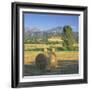 Straw Bales in Fields, Sardinia, Italy, Europe-John Miller-Framed Photographic Print