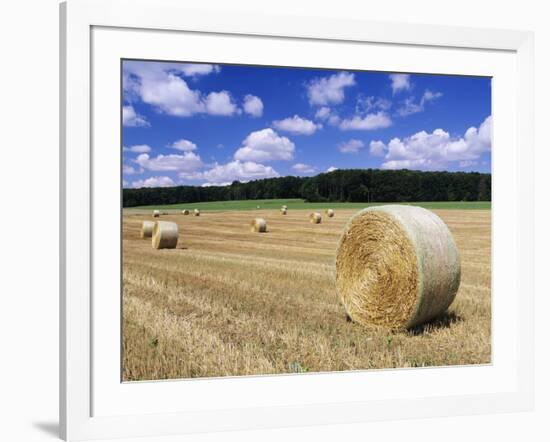 Straw Bales, Swabian Alb, Baden Wurttemberg, Germany, Europe-Markus Lange-Framed Photographic Print