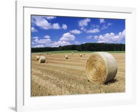 Straw Bales, Swabian Alb, Baden Wurttemberg, Germany, Europe-Markus Lange-Framed Photographic Print