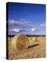 Straw Bales, Swabian Alb, Baden Wurttemberg, Germany, Europe-Markus Lange-Stretched Canvas