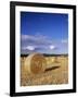 Straw Bales, Swabian Alb, Baden Wurttemberg, Germany, Europe-Markus Lange-Framed Photographic Print