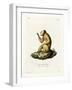 Straw-Colored Howler-null-Framed Giclee Print