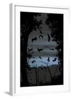 Straw-Coloured Fruit Bats (Eidolon Helvum) Returning to Daytime Roost at Dawn-Nick Garbutt-Framed Photographic Print