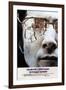 Straw Dogs, Dustin Hoffman, 1971-null-Framed Art Print