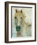 Straw Horse-Cody Alice Moore-Framed Art Print