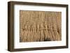 Straw roof of traditional dome houses, Mantenga Cultural Village, Swaziland-Keren Su-Framed Photographic Print