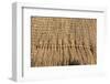 Straw roof of traditional dome houses, Mantenga Cultural Village, Swaziland-Keren Su-Framed Photographic Print