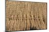 Straw roof of traditional dome houses, Mantenga Cultural Village, Swaziland-Keren Su-Mounted Photographic Print