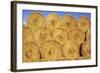 Straw Stacked-Den Reader-Framed Photographic Print