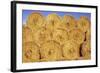 Straw Stacked-Den Reader-Framed Photographic Print