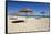 Straw umbrellas on empty white sand beach with clear sea behind, Ilha do Farol, Culatra Barrier Isl-Stuart Black-Framed Stretched Canvas