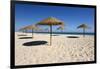 Straw umbrellas on empty white sand beach with clear sea behind, Ilha do Farol, Culatra Barrier Isl-Stuart Black-Framed Photographic Print